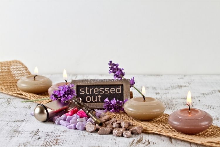 Maslow ve Pediaterapi